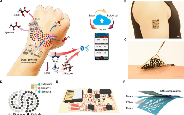 The process of converting sweat into electricity