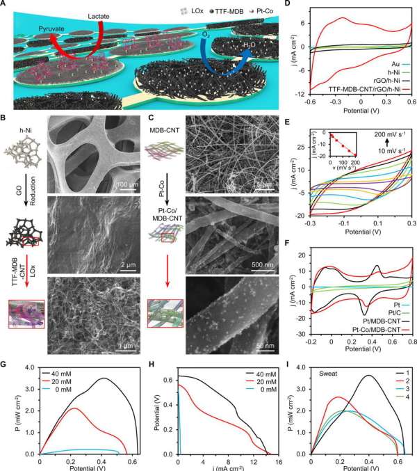 Experimental data of biofuel cell