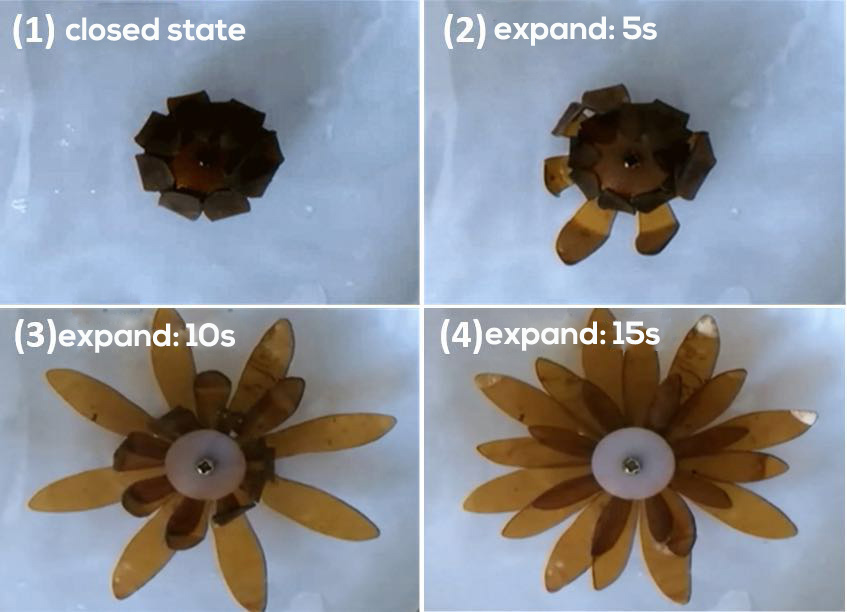 New, flexible solar cells