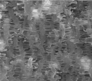 Section SEM Portrait image of Battery Diaphragm