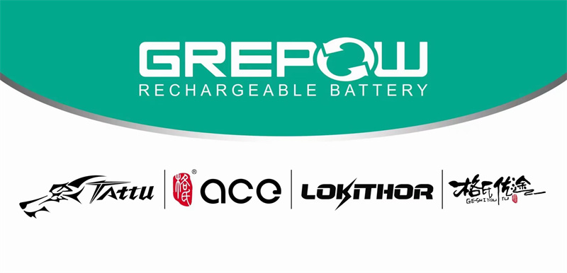 Shenzhen Grepow Battery Co., Ltd