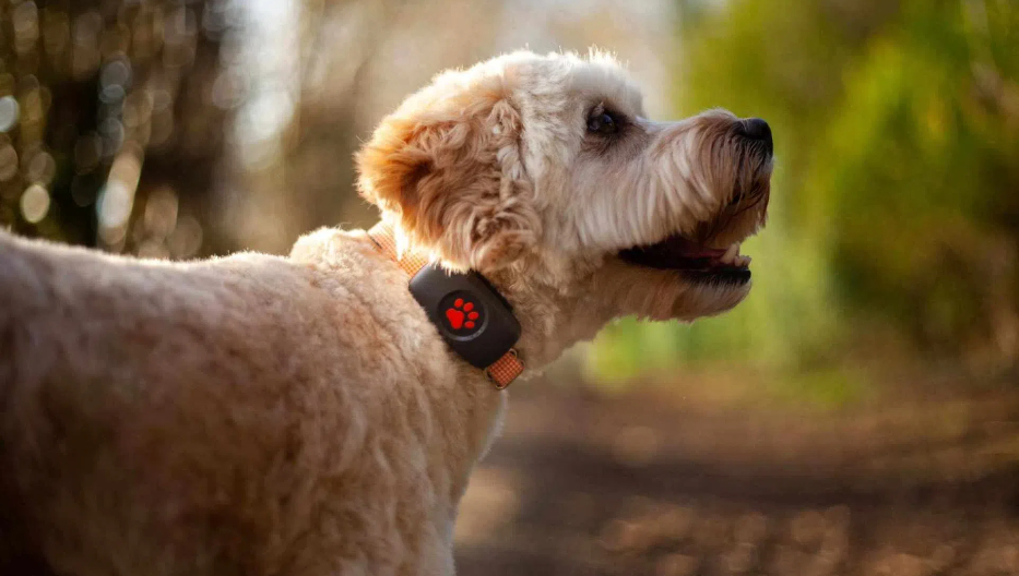 Pet GPS Tracker