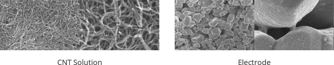 Electrode of Lithium battery